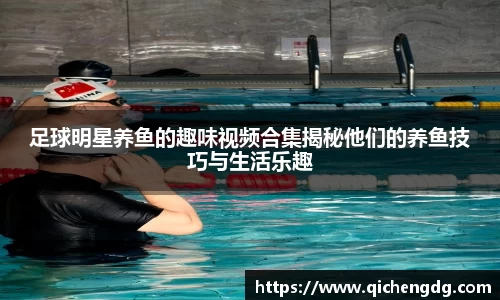 足球明星养鱼的趣味视频合集揭秘他们的养鱼技巧与生活乐趣